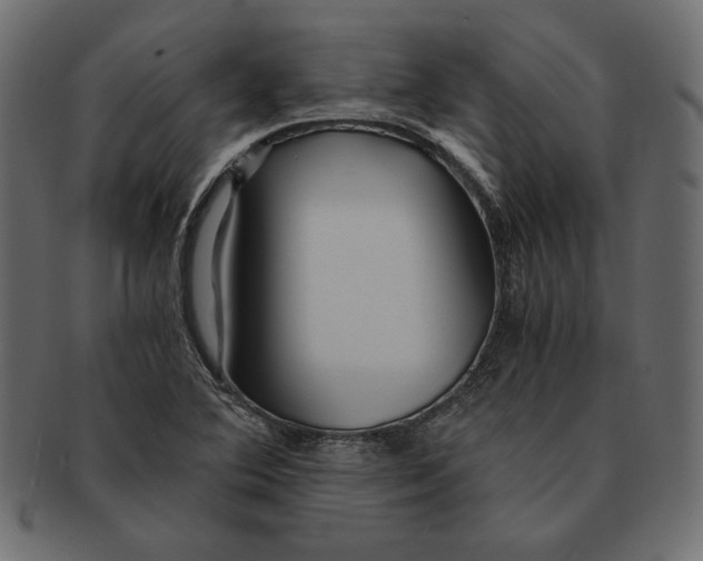 X0000091361364200709071253