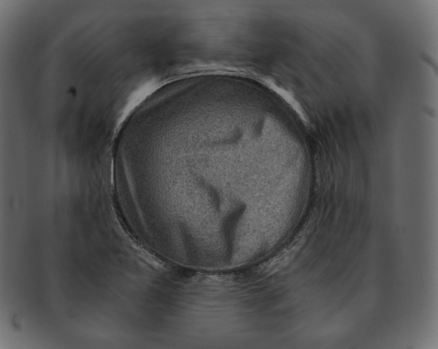 X0000091361365200709071253