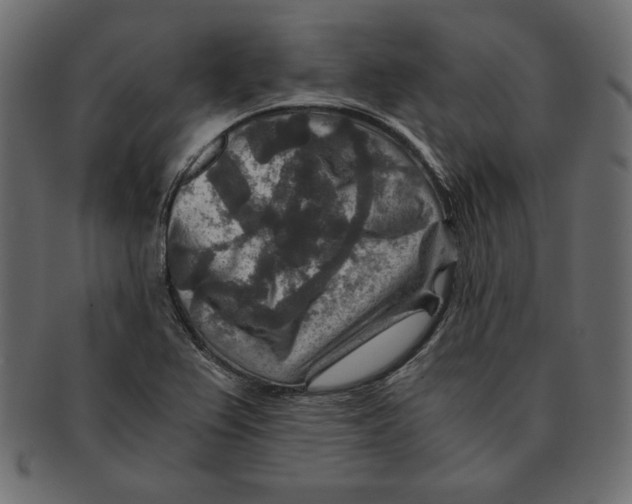 X0000091361367200709071253