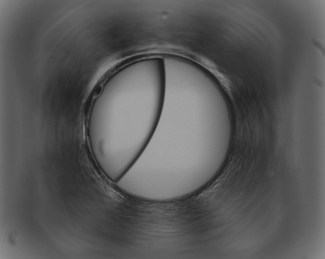 X0000091361368200709071253