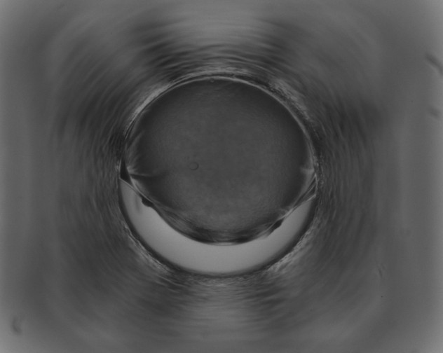 X0000091361369200709071253