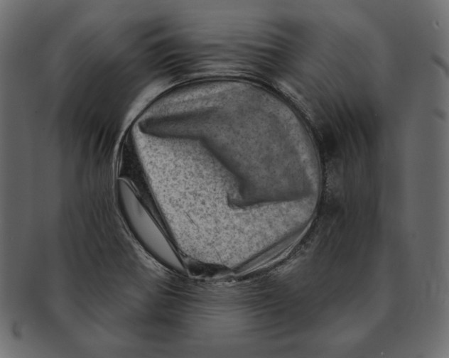 X0000091361370200709071253