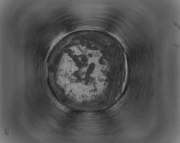X0000091361371200709071253