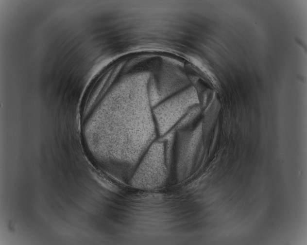 X0000091361372200709071253