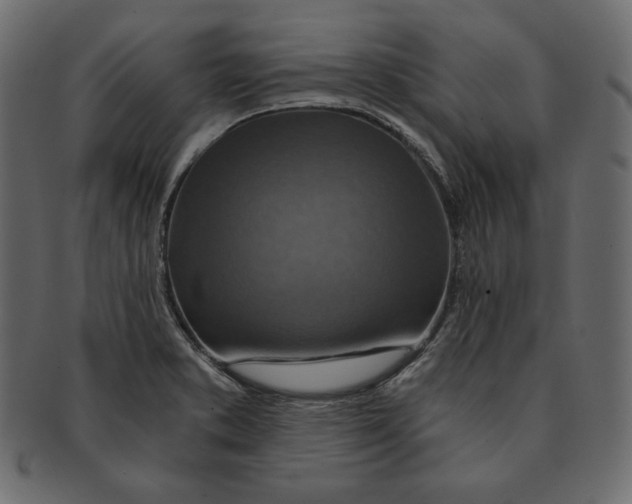 X0000091361373200709071253