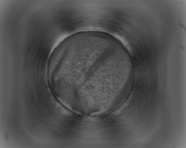 X0000091361374200709071253