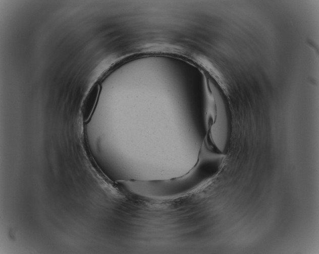 X0000091361376200709071253