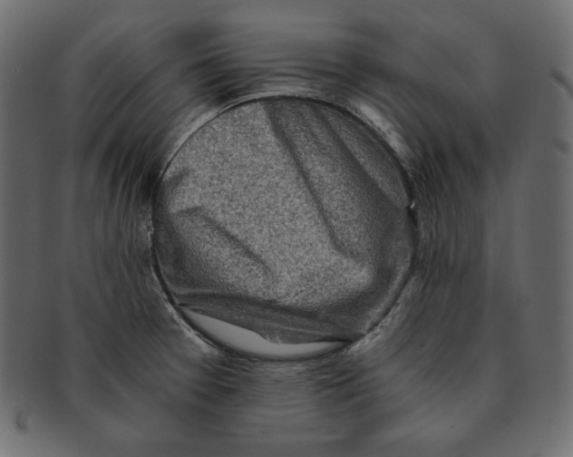 X0000091361377200709071253