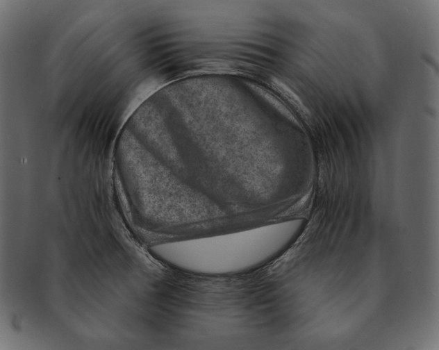 X0000091361378200709071253