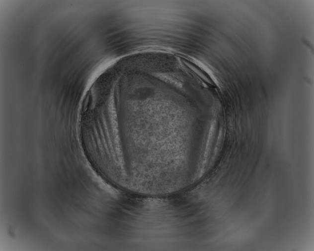 X0000091361379200709071253