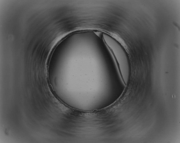 X0000091361380200709071253