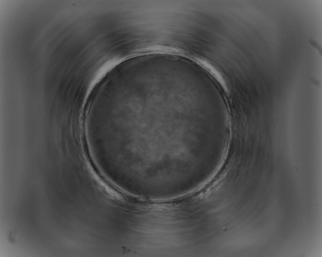X0000091361381200709071253