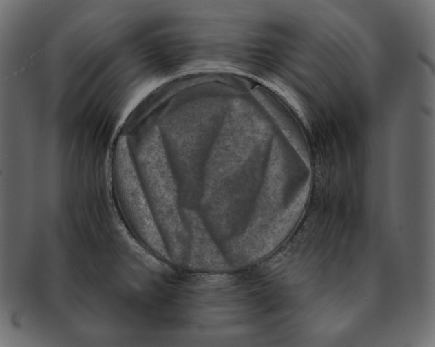 X0000091361382200709071253