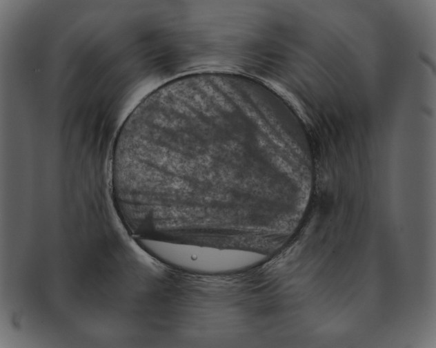 X0000091361383200709071253