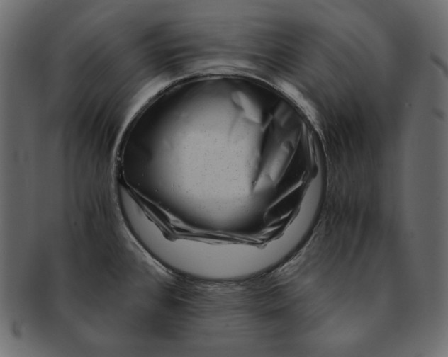 X0000091361384200709071253