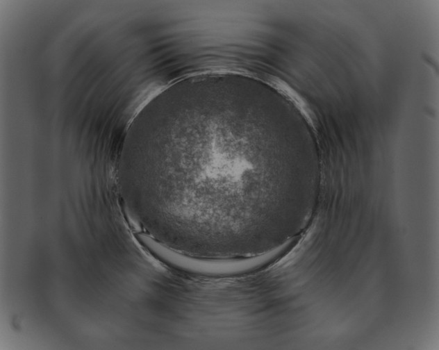 X0000091361385200709071253