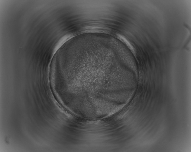 X0000091361386200709071253