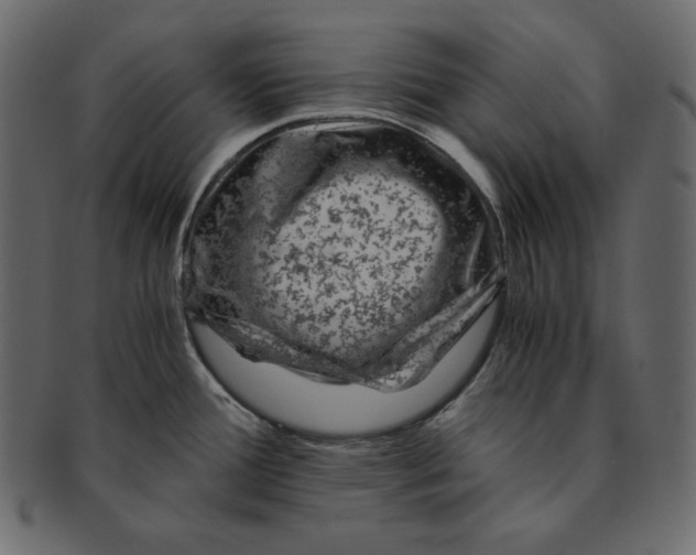 X0000091361388200709071253