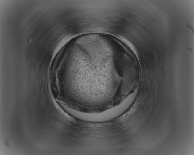 X0000091361389200709071253