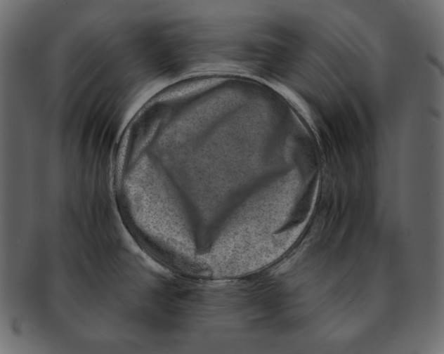 X0000091361390200709071253
