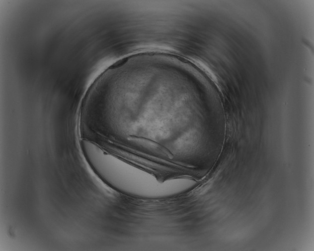 X0000091361391200709071253