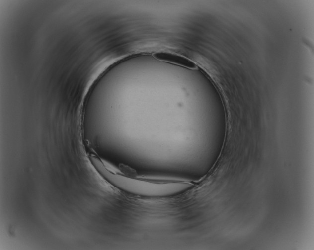X0000091361392200709071253