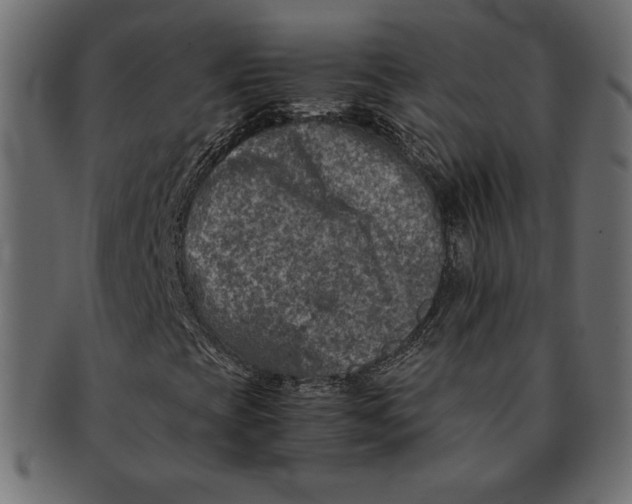 X0000091361393200709071252