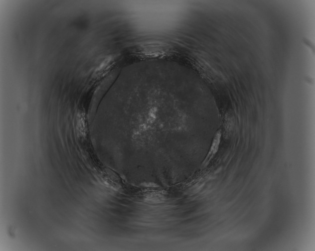 X0000091361394200709071252