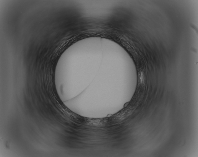 X0000091361396200709071252