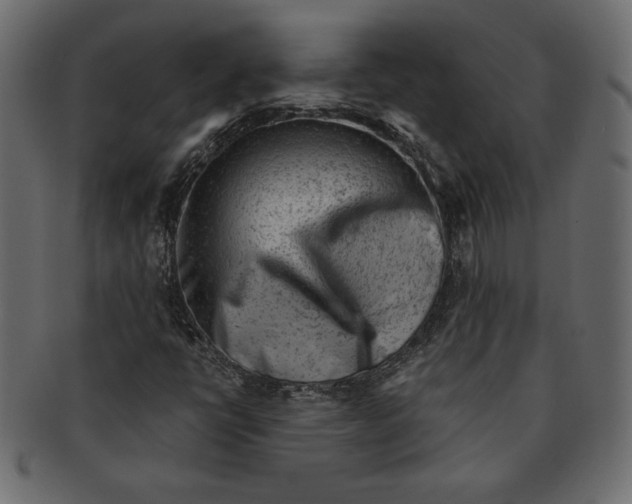 X0000091361398200709071252