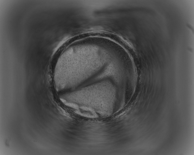 X0000091361400200709071252