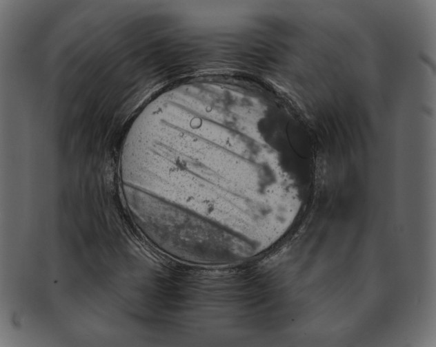 X0000091361401200709071252