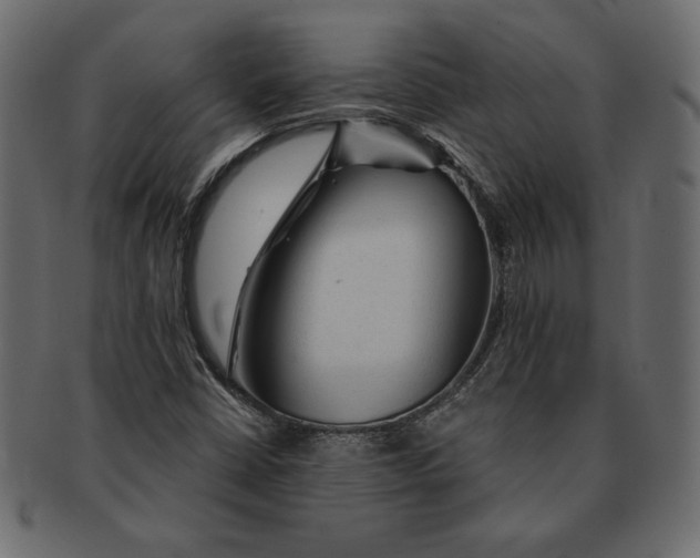 X0000091361402200709071252