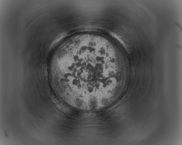 X0000091361403200709071252