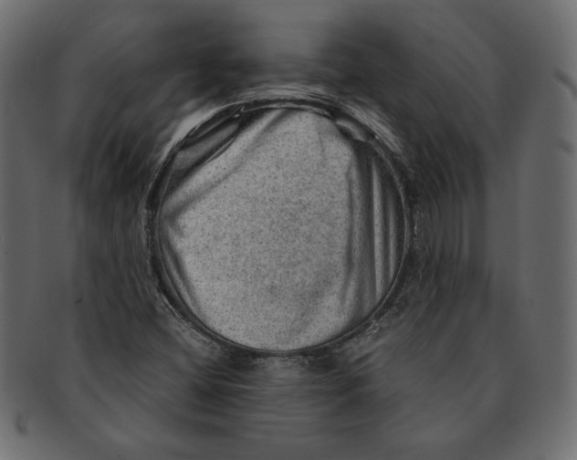 X0000091361404200709071252