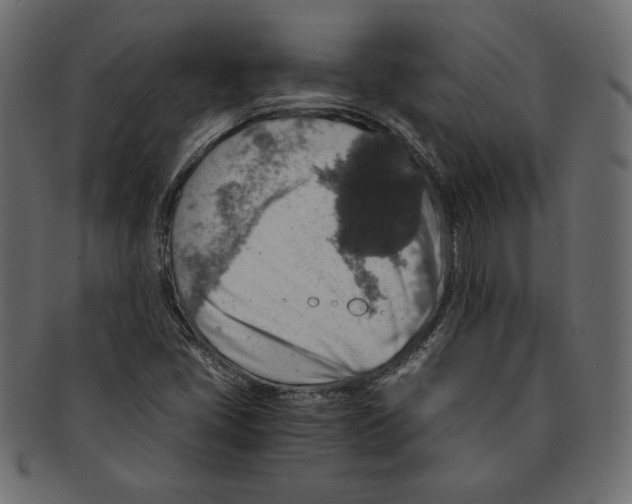 X0000091361405200709071252