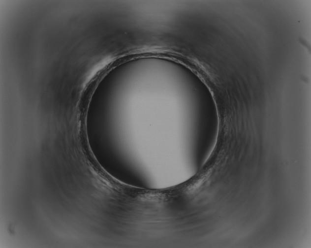 X0000091361406200709071252
