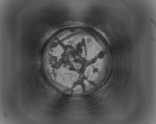 X0000091361407200709071252