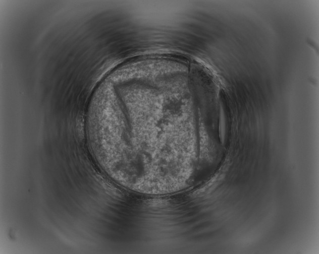 X0000091361409200709071252