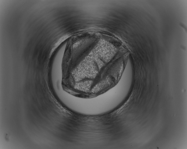 X0000091361410200709071252