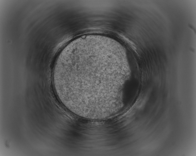 X0000091361411200709071252