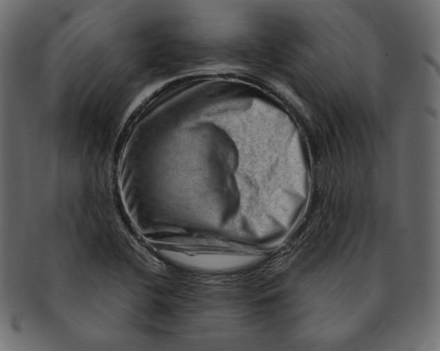 X0000091361412200709071252