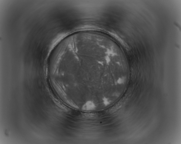 X0000091361413200709071252
