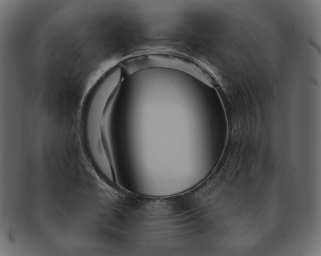 X0000091361414200709071252