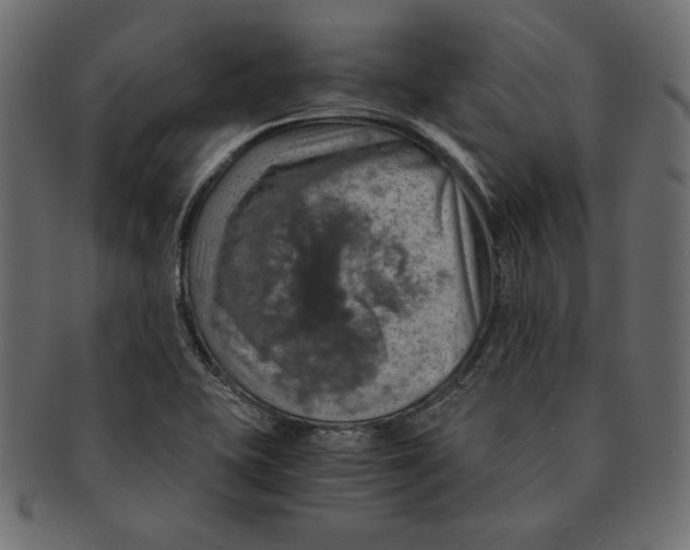 X0000091361415200709071252