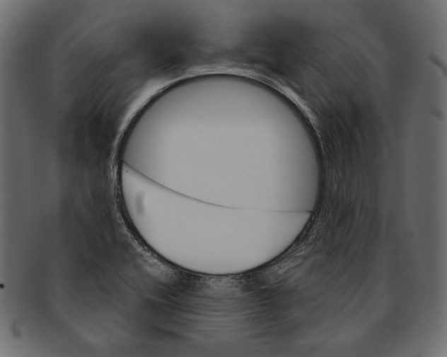 X0000091361416200709071252