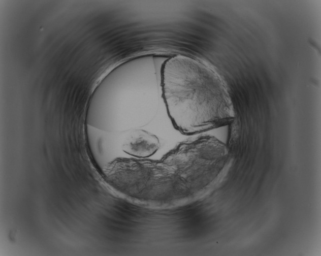 X0000091361417200709071252