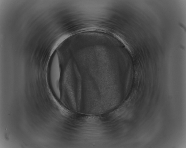X0000091361418200709071252