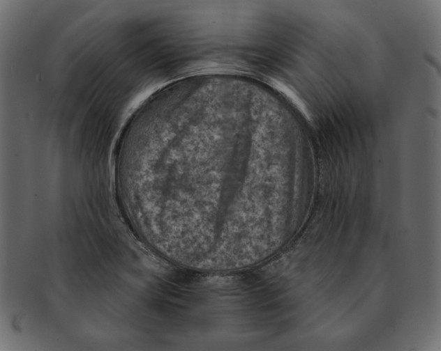 X0000091361419200709071252