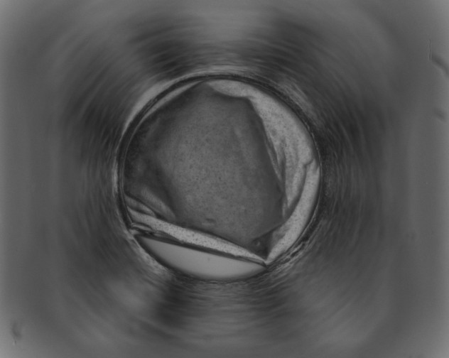 X0000091361420200709071252